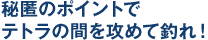 秘匿のポイントで
テトラの間を攻めて釣れ!