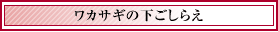 JTM̉炦